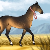 Thumbnail for H-024: One Hehkuva Horse